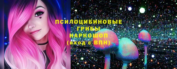 ПСИЛОЦИБИНОВЫЕ ГРИБЫ Балабаново