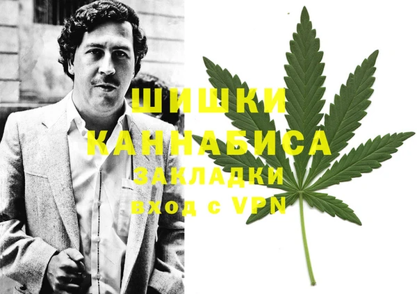 ПСИЛОЦИБИНОВЫЕ ГРИБЫ Балабаново