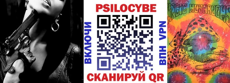 Псилоцибиновые грибы Psilocybe Рузаевка